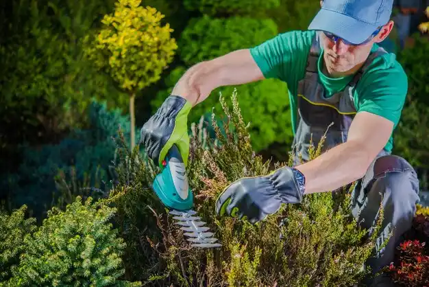 landscaping services Evans Mills